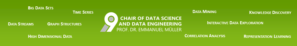 Chair of Data Science and Data Engineering